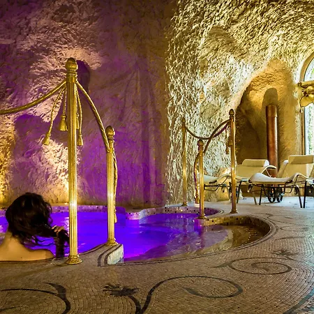 Hotel E Palazzo Aminta - A Leading Of The World Stresa